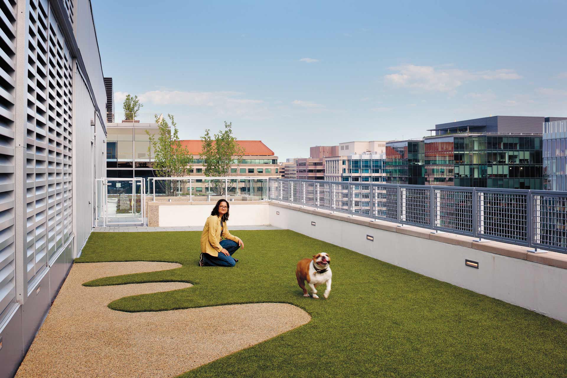 City Center Rooftop Dog Run